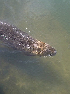 200903011412000.jpg