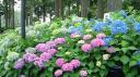 200906151453000.jpg