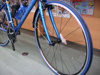 25.JPG