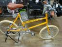 dsc00888.JPG