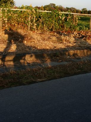 dsc06221.JPG