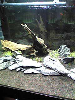 image003.JPG