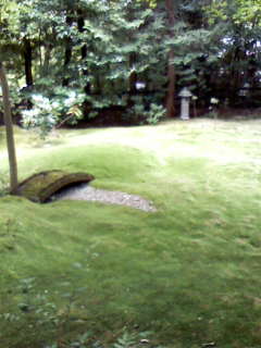image113.JPG