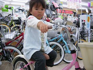 p4250009.JPG