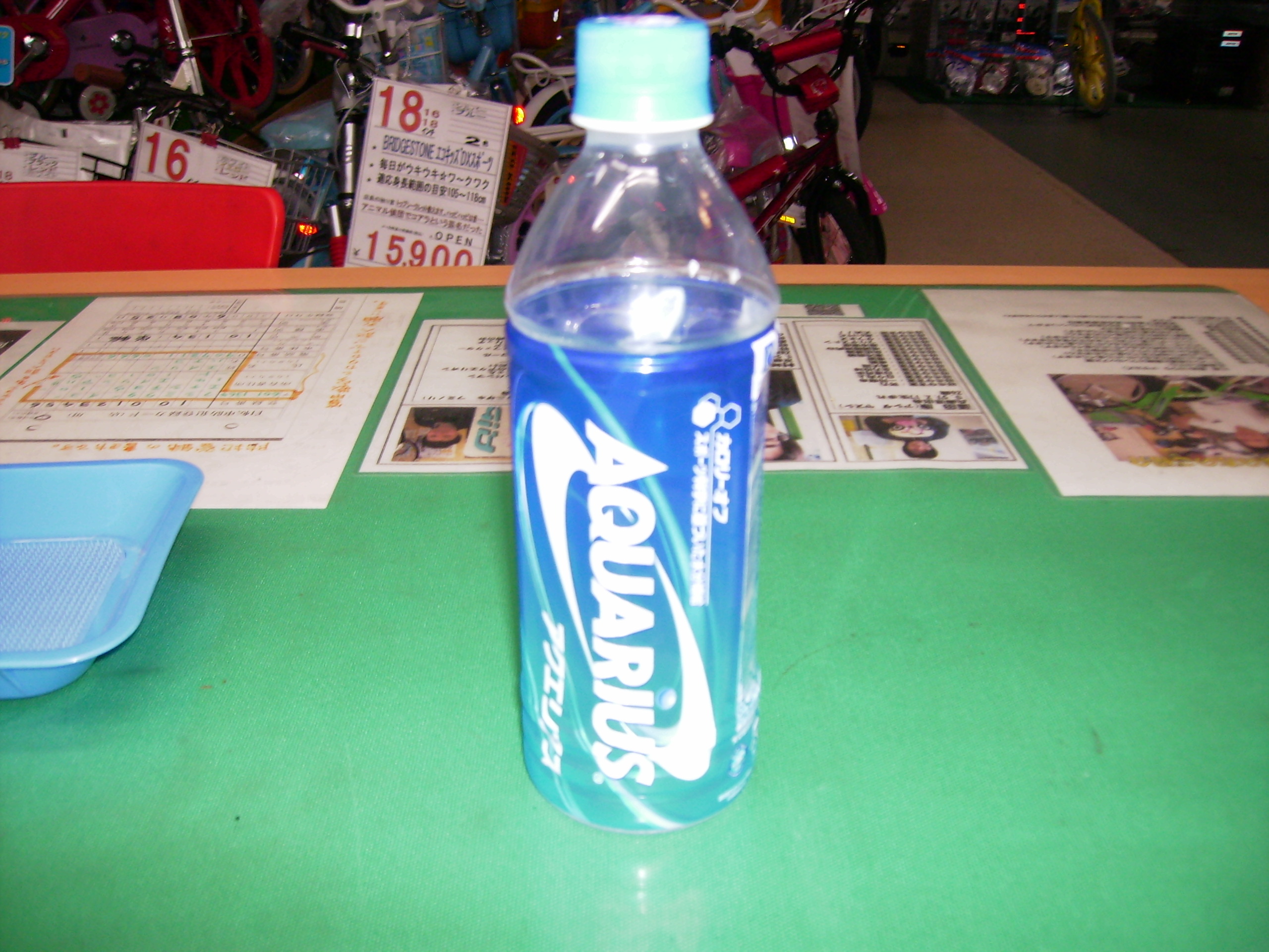 p5220129.JPG