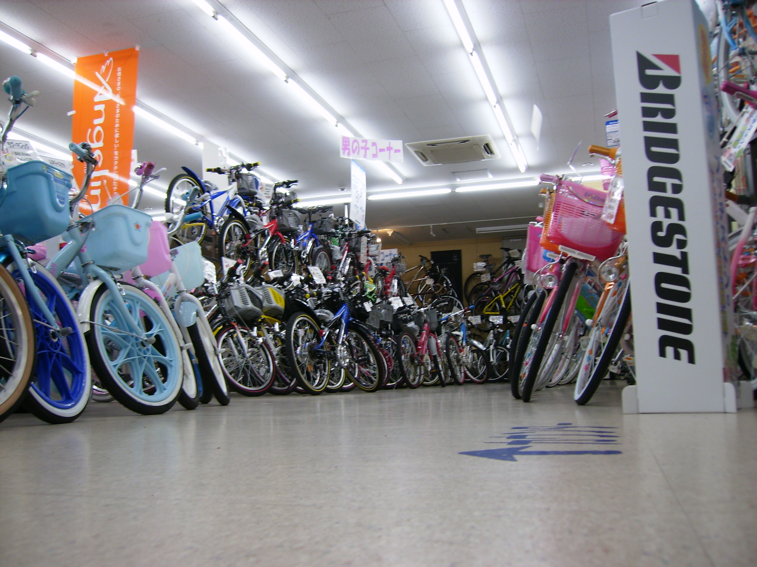 pb160027.JPG