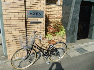 DSCF8482