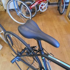 CANELEONTE 1 019 (1)