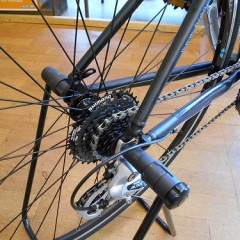 CANELEONTE 1 019 (2)