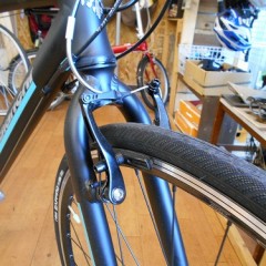 CANELEONTE 1 019 (8)