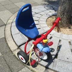 RADIOFLYER Fold2GoTrike (2)