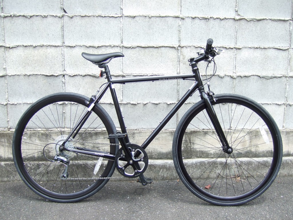 schwinn slicker