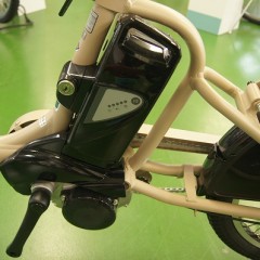 bikke POLAR (28)