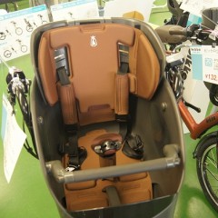 bikke POLAR (56)