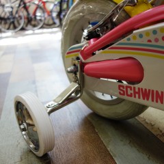 Schwinn Pixie (4)