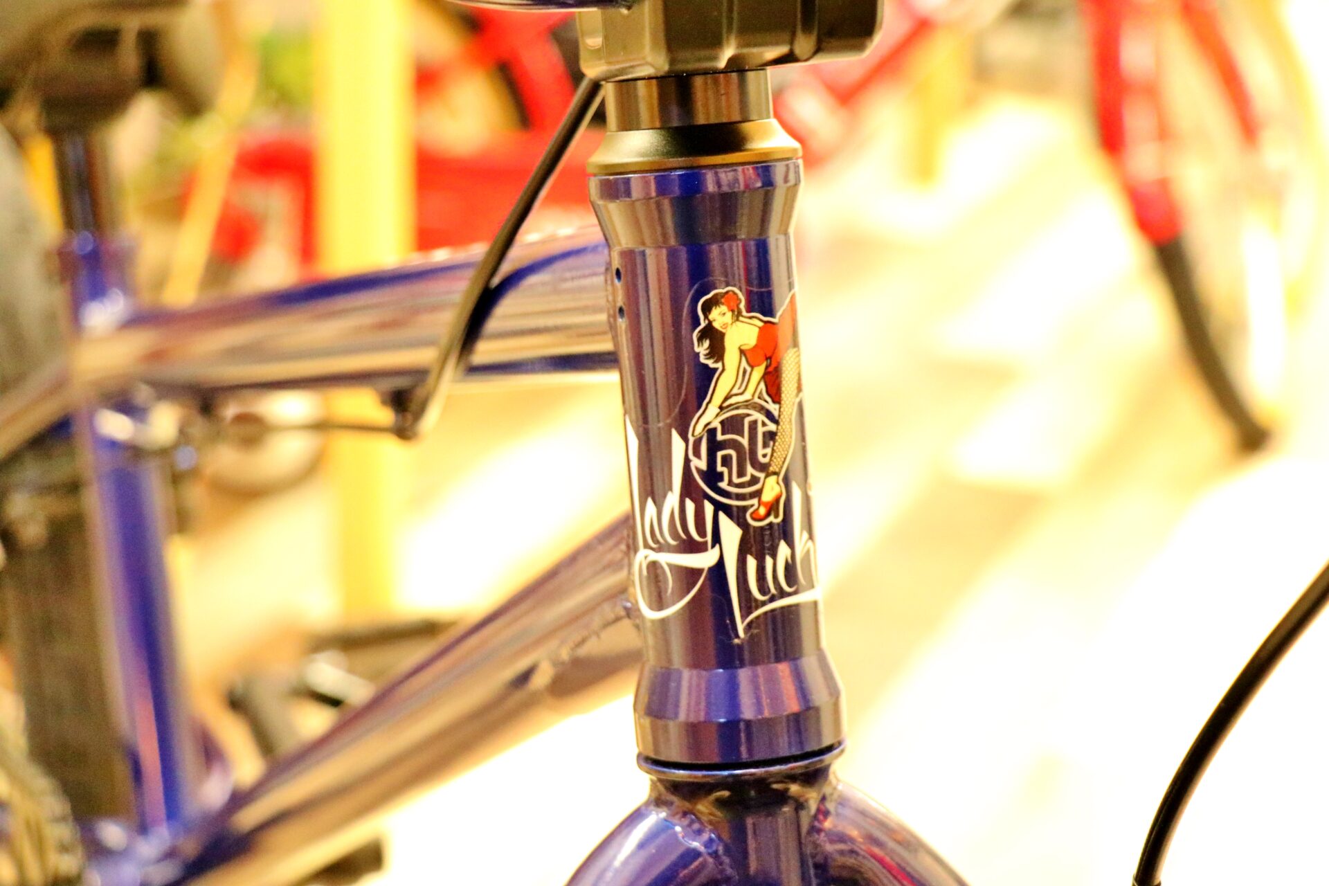 中古BMX】BMXをお探しの方には朗報！！2015年モデルHoffman Ladyluck 