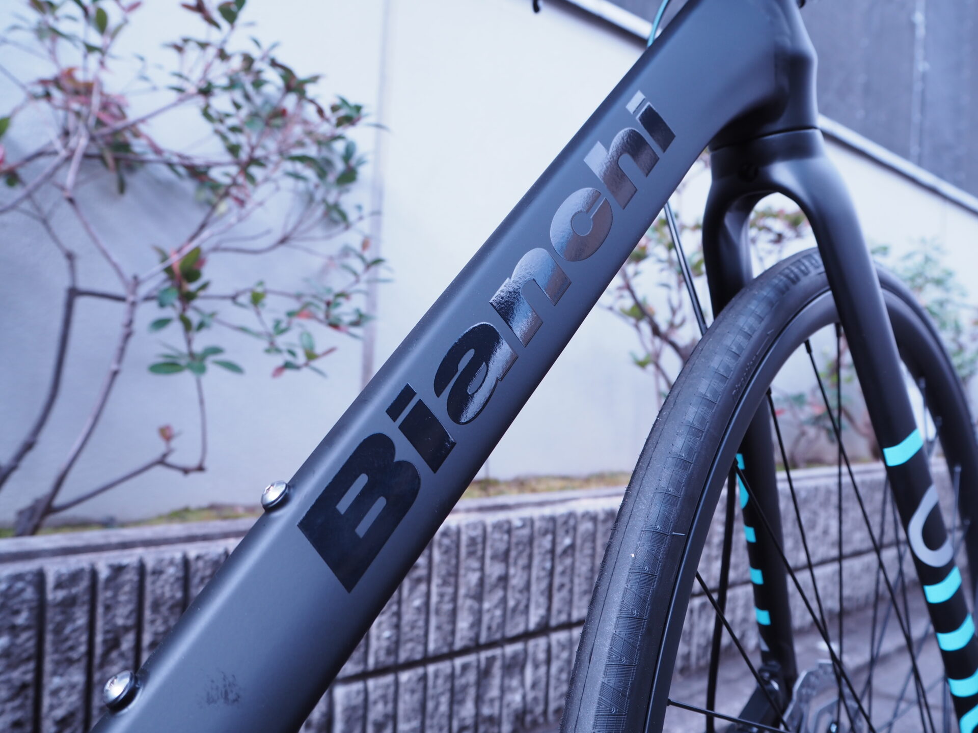 数量限定セール 2019年モデル ROMA3 BIANCHI - 自転車本体 - albinofoundation.org