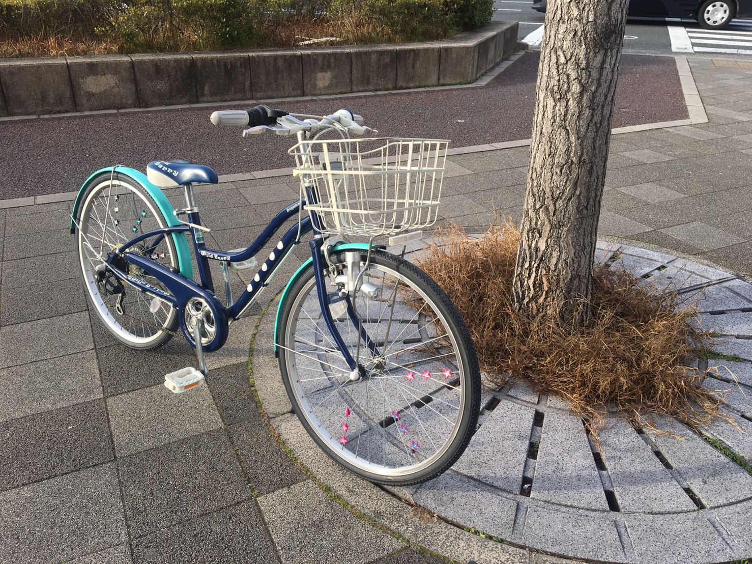 美品中古子供自転車】ブリヂストン自転車！Wild Berry ワイルドベリー