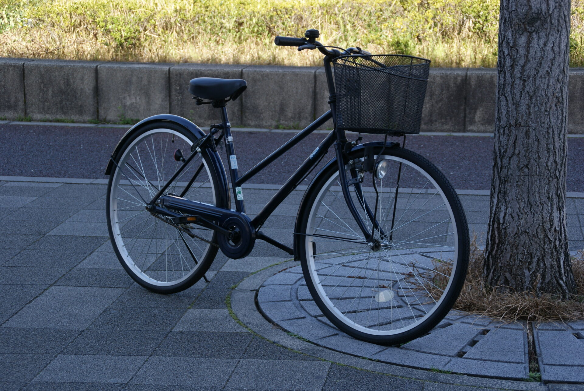 京都 自転車