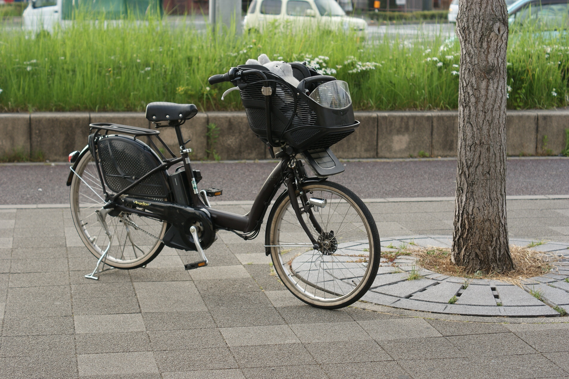 樫の木 等 雰囲気 自転車 カバー ブリヂストン アンジェリーノ 貫通 確かめる また