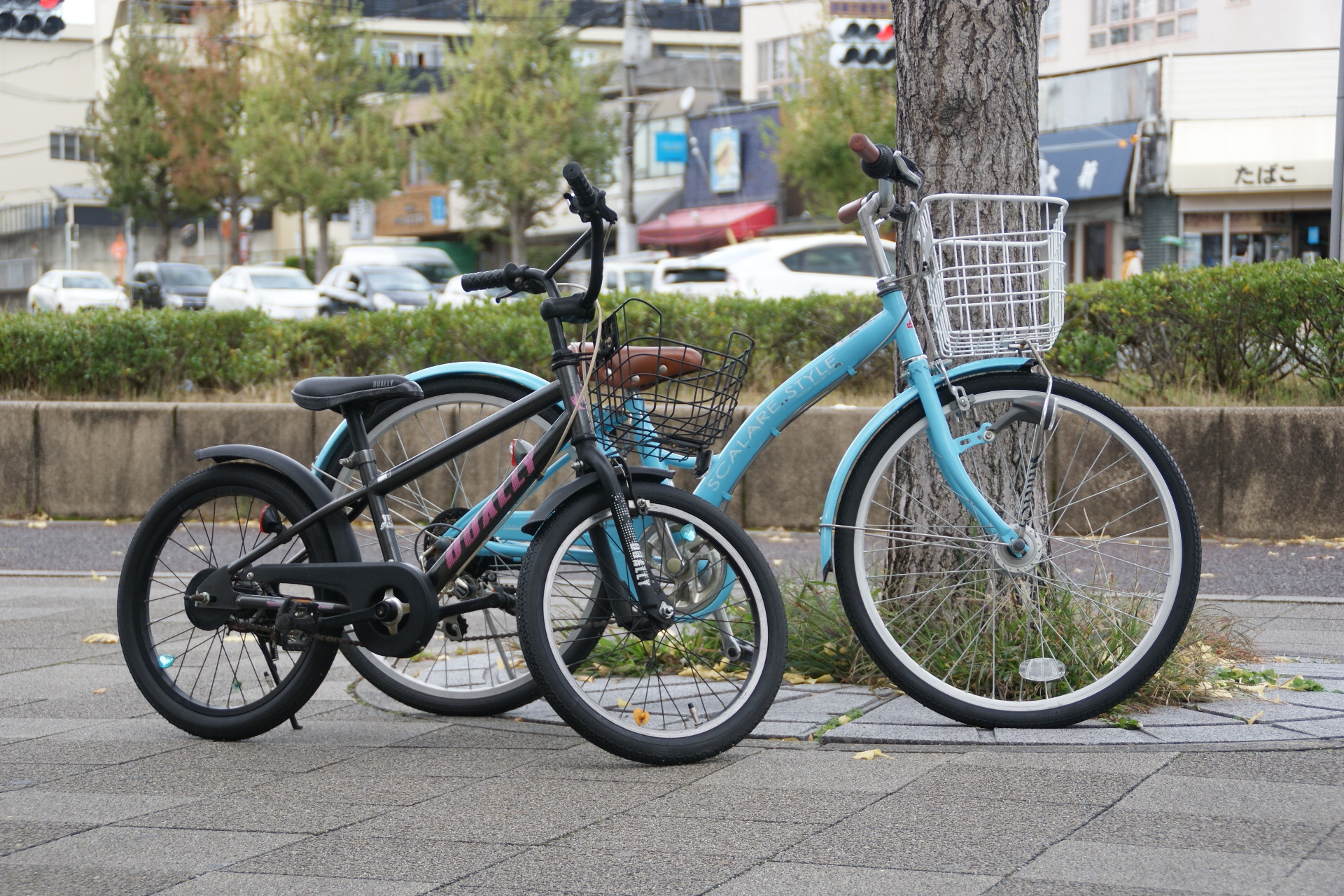 車 の 中 に 自転車