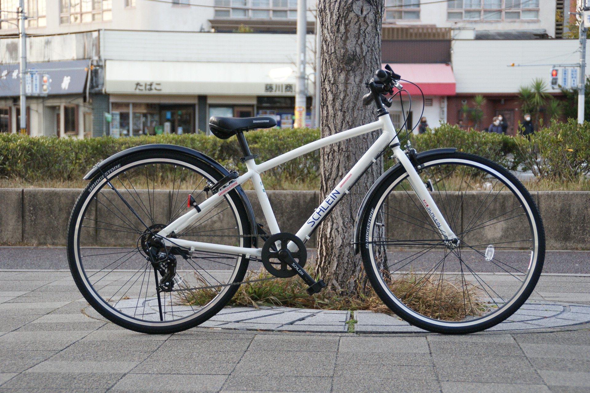 ブリヂストン(BRIDGESTONE) シュライン SCHLEIN 26インチ - 自転車本体