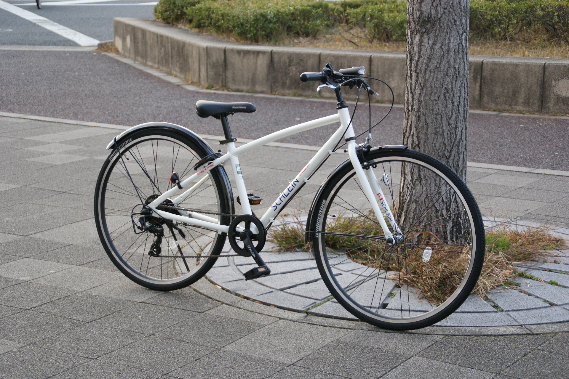 カッコよさ抜群！スイスイ走る自転車】BRIDGESTONE シュライン/SCHLEIN