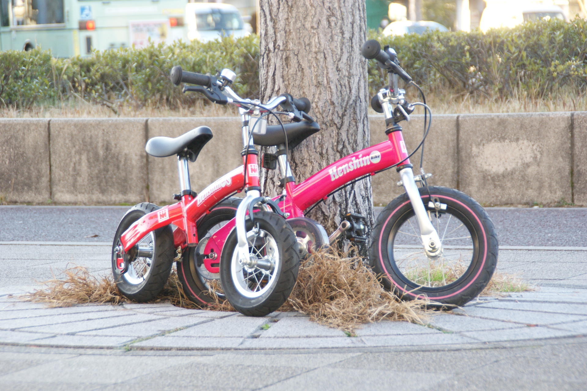 初めての自転車はコレ！へんしんバイク 10インチ・12インチ【USED ...