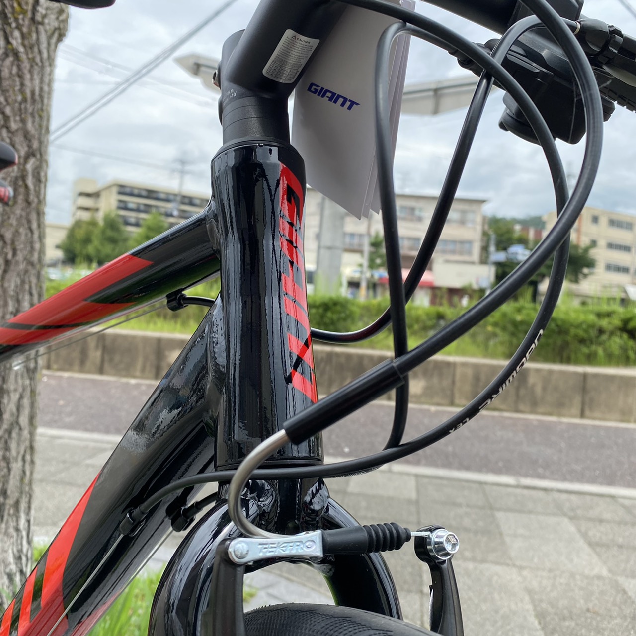 軽さが魅力】新車軽量クロスバイクのご紹介です。 | 京都の中古自転車